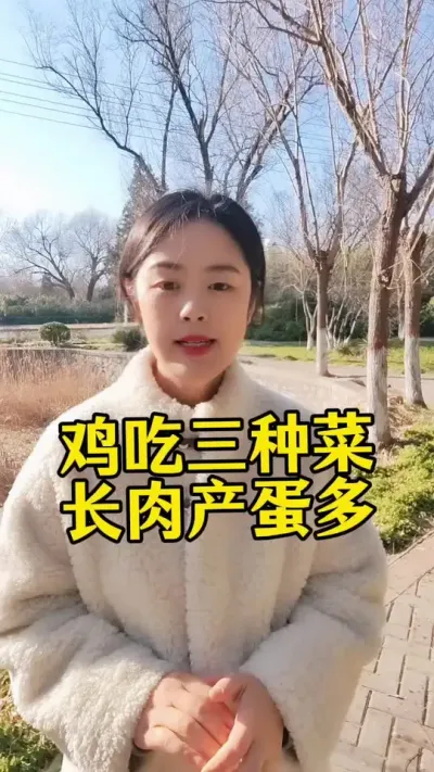 鸡吃三种菜，长肉产蛋多#养鸡#散养土鸡#养鸡妙招#科学养鸡#鸡鸭鹅养殖