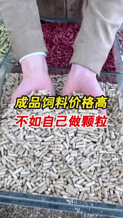 搞养殖，成品饲料价格高，不如自己在家做颗粒，看看这一套时产1吨饲料颗粒加工生产线。#颗粒机厂家 #饲料颗粒机 #养殖