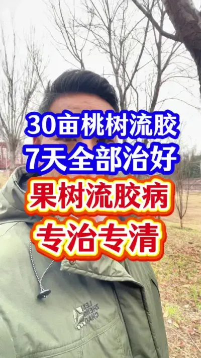 #流胶病#果树流胶病 #果树流胶 #抖音助农 #分享农业知识帮农民增产增收