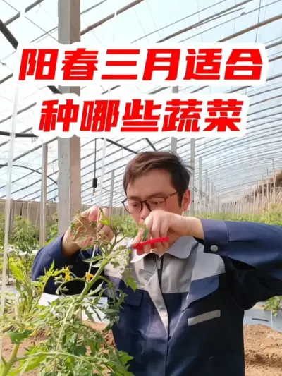 阳春三月适合种哪些蔬菜 #蔬菜种植 #种菜 #农业种植 #分享农业知识帮农民增产增收 #传播农业小知识
