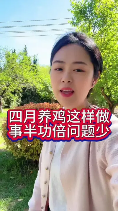 四月养鸡这样做事半功倍问题少#养鸡#科学养鸡#养鸡妙招#科学养鸡#鸡鸭鹅养殖