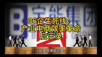 36企生死线：产业电商效率革命启示录@云食界展贸服务平台