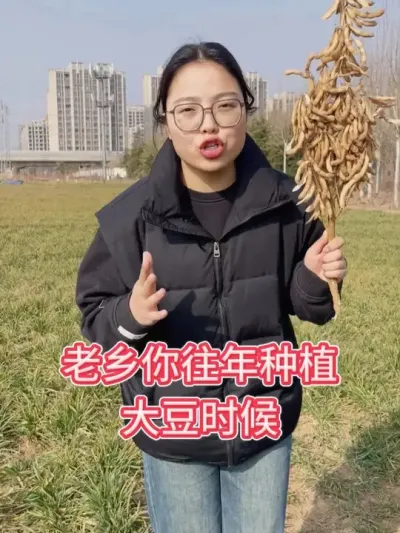 大豆新品种，高产大粒王，亩产600-700斤 #服务三农支持三农 #抖音助农扶农 #优质农产品 #三农种植 #助农