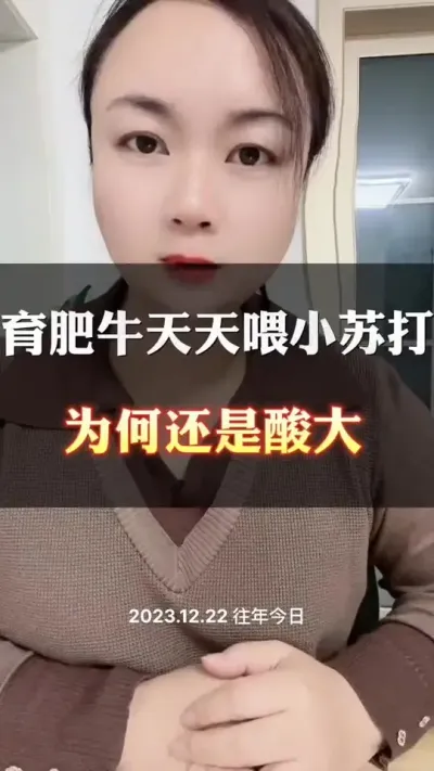 天天喂小苏打，为何还是酸大呢#全国养牛人 #西门塔尔育肥牛 #科学喂养 #西门塔尔
