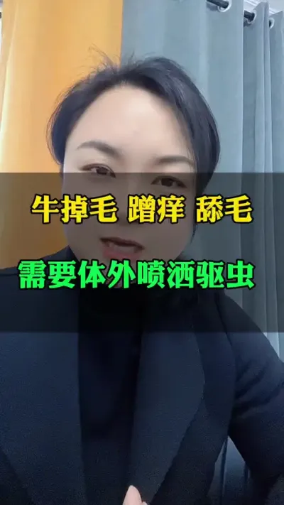牛掉毛，蹭痒，舔毛都是体外寄生虫引起的#全国养牛人 #肉牛养殖 #科学喂养 #养殖户 #自繁自养