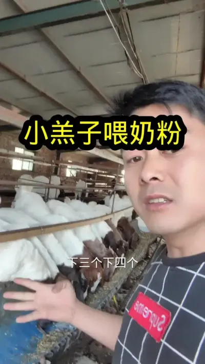 你就记住卖羊奶粉的有一个叫小卢的，不满意随时退款#养羊#养羊人#羔羊奶粉#羊奶粉