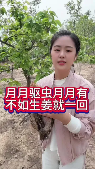 #科学养鸡 #鸡鸭鹅养殖 #服务三农支持三农 #养殖小妙招 #养鸡人