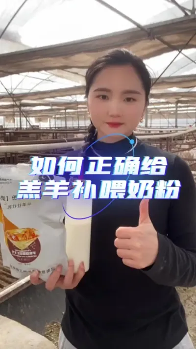 羊羔奶粉#羔羊奶粉 #羊羔奶粉 #养羊人 #养羊技术