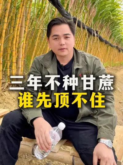 三年不种甘蔗
谁先顶不住#甘蔗 #甘蔗种植 #农业种植#三农#农民