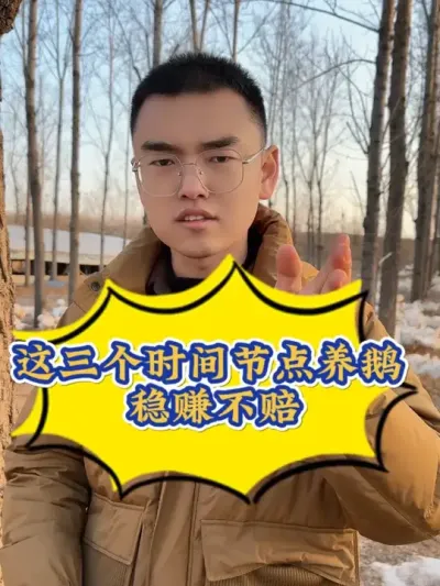 7年老兽医酒后不传的秘诀，这三个时间节点上鹅，稳赚不赔！#养鹅技术分享 #养鹅 #鹅苗 #养鹅技术找晓雨