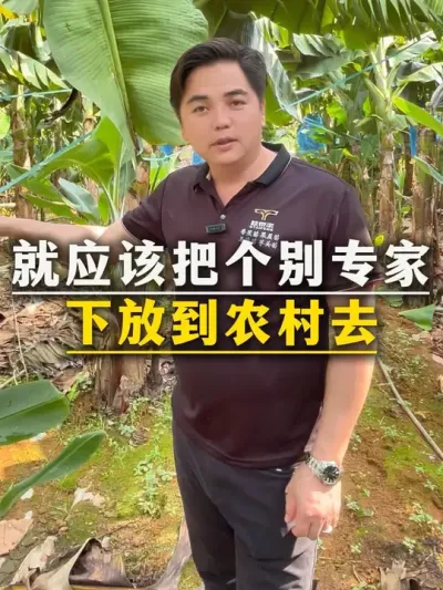 就应该把个别专家下放到农村去#农业种植#农民#农民工#三农#种植小技巧
