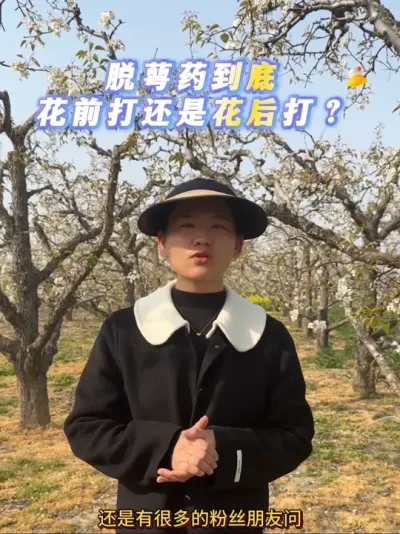 关于打脱萼药的问题 再跟大家加深一下 #来抖音学农技 #梨树 #公梨变母梨 #果树种植 #抖音助农