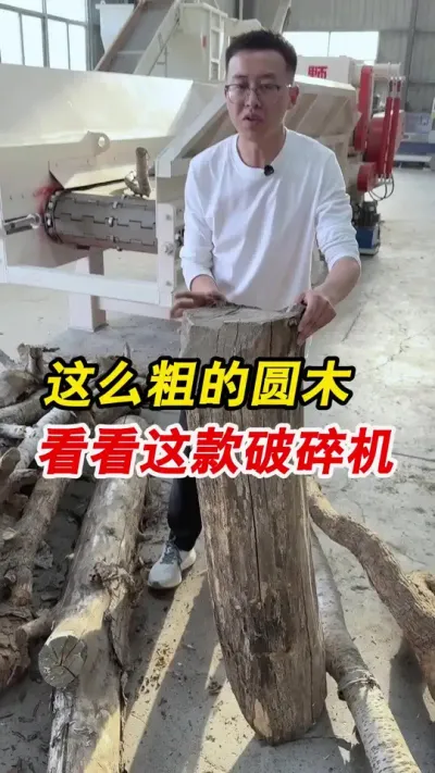 廉价圆木做燃烧颗粒，包含破碎机，颗粒机。#颗粒机 #粉碎机 #燃烧颗粒