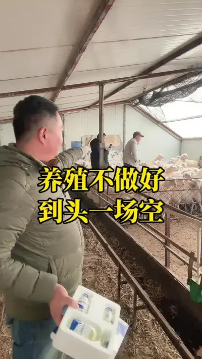 养殖不驱虫到头一场空#每天分享牛羊养殖小知识 #养羊人 #养殖场专用