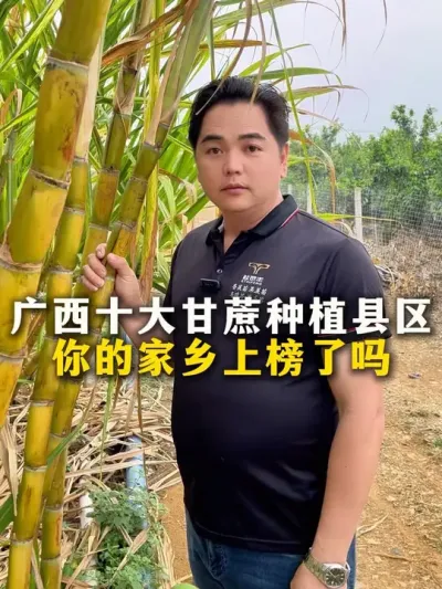 广西十大甘蔗种植县区，你的家乡上榜了吗#甘蔗#甘蔗种植#种植小技巧 #三农#农业种植