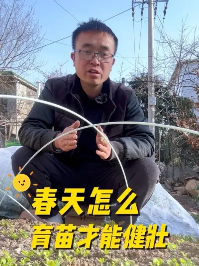 春天怎么育苗才能健壮？育苗注意事项有哪些？#关注我一起学种菜 #我的小菜园 #种植小技巧 #我爱种菜 #在家种菜