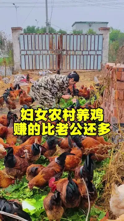 #鸡鸭鹅养殖 #科学养鸡 #养鸡人 #鸡病防治 #养鸡场