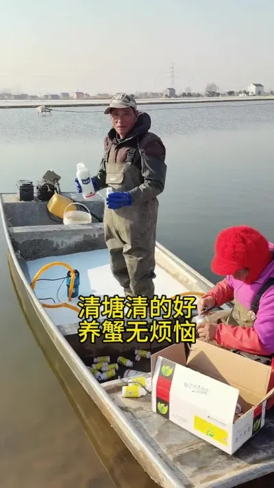 第三个蟹塘清塘开始了 #大闸蟹养殖 #河蟹养殖 #鱼虾蟹养殖 #螃蟹养殖 #养蟹发哥