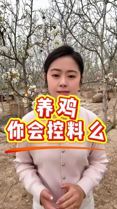 养鸡你会控料么 #养鸡#散养土鸡#养鸡妙招#科学养鸡#鸡鸭鹅养殖