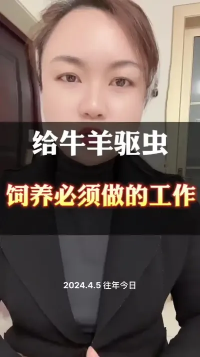 给牛羊做驱虫很关键#全国养牛人 #肉牛养殖 #养殖户 #科学喂养