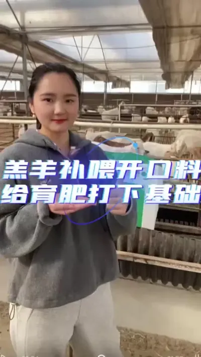 羔羊开口料#羔羊开口料 #羔羊饲料 #羔羊料