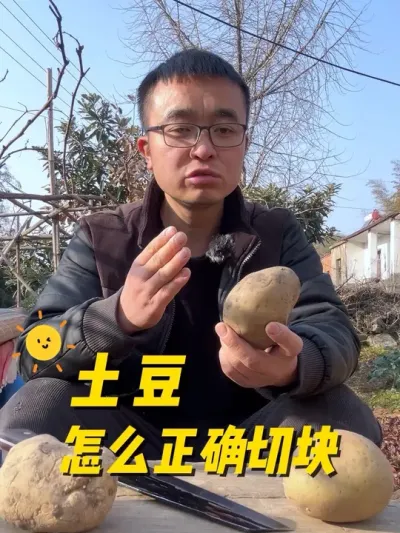 土豆怎么正确切块？才能产量高？#关注我一起学种菜 #种植小技巧 #我的小菜园 #记录我的种植生活 #我爱种菜