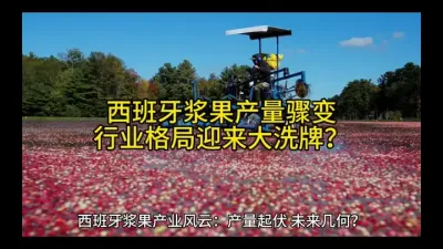 西班牙浆果产量骤变，行业格局迎来大洗牌？#强烈推荐 @云食界展贸服务平台