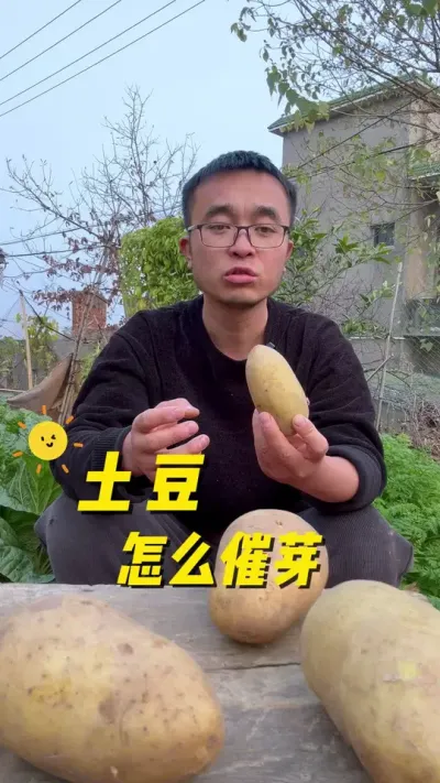 土豆怎么催芽？土豆催芽注意事项#关注我一起学种菜 #我的小菜园 #种植小技巧 #我爱种菜 #种菜