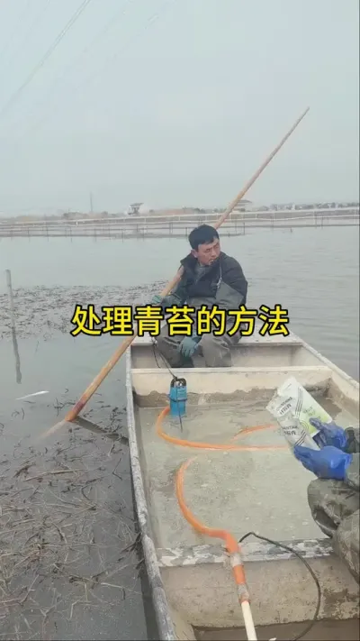 好草，有规模的水草，彻底醒颗生根的可以用 #水产养殖 #养蟹 #养蟹发哥