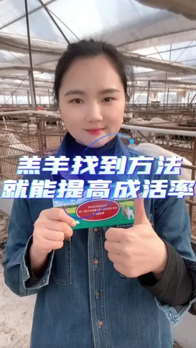 羔羊保护液提高羊羔成活率#养羊技术分享 #养羊知识 #每天分享牛羊养殖小知识 #牛羊养殖技术分享
