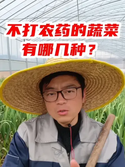 不打农药的蔬菜有哪几种？ #三农种植 #传播农业小知识 #分享农业知识帮农民增产增收 #种菜 #种菜小技巧