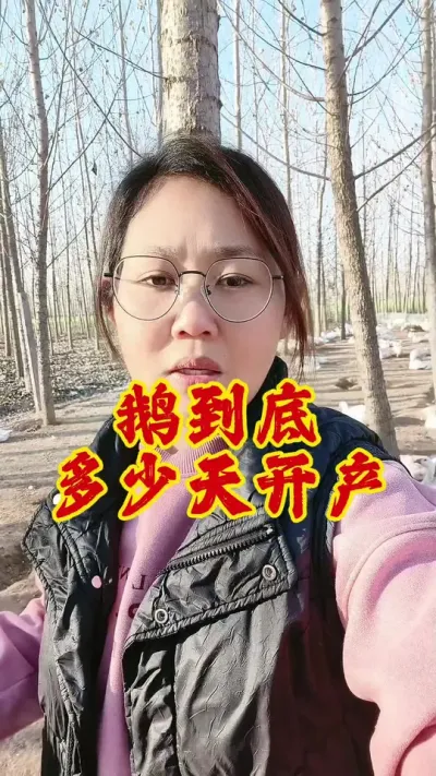 鹅到底多少天开产？#养鹅技术分享 #养鹅技术 #养鹅 #鹅 #科学养鹅