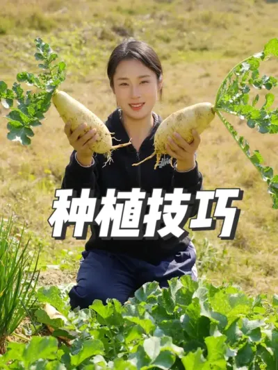 都是经验总结，老智慧。 #农村女孩日常 #我的乡村生活 #农村生活 #回村后的我 #纯天然绿色蔬菜