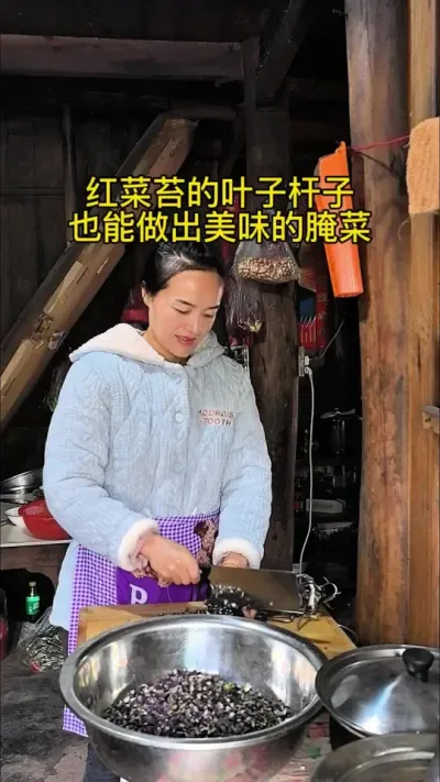 #创作灵感 #我的乡村生活 菜园子的红菜苔，不仅可以吃菜苔，叶子杆子也别浪费哦，做成腌菜，过年时吃一口，清爽解腻！#红菜苔腌菜 #环保 #过年美食 @DOU+上热门 @DOU+小助手