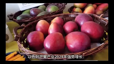 以色列芒果产业强势突破#每日分享 @云食界展贸服务平台
