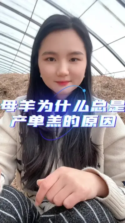 母羊为什么总是产单羔#养羊技术分享 #养羊知识 #自繁自养