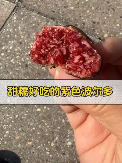 甜糯好吃的紫色波尔多无花果，浓浓果酱味。#记录我的种植生活 #盆栽果树 #无花果 #紫色波尔多无花果