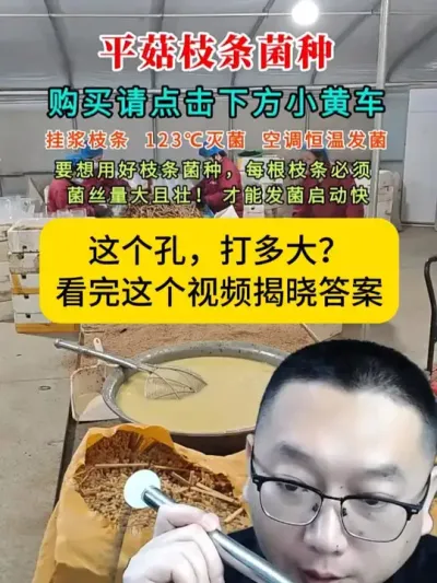 用枝条菌种接种，打孔的最佳大小是多少？#平菇种植    #打孔器 #菌种打孔器