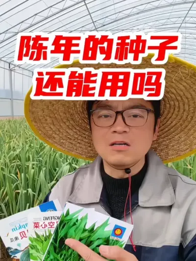 陈年的种子还能用吗？ #三农 #助农 #种子 #蔬菜 #种植小技巧 @DOU+上热门 @DOU+小助手