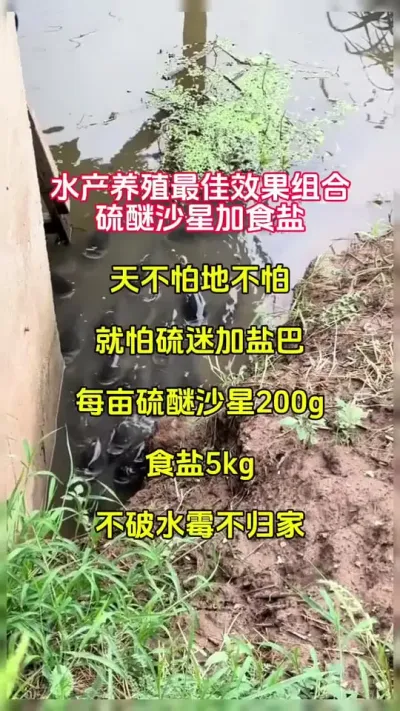 如果你的池塘鱼得水梅，这个方法不妨试一试 #高密度养殖 #水产养殖 #特种水产 #鱼苗 @抖加🔥上热门🔥dou+🔥热点宝
