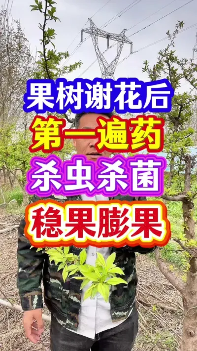 #促花保果 #果树种植 #促花肥 #抖音助农 #分享农业知识帮农民增产增收