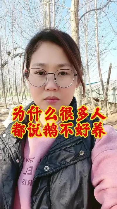 鹅好养吗？#养鹅技术分享 #科学养鹅 #养鹅技术 #养鹅 #养鹅专业户