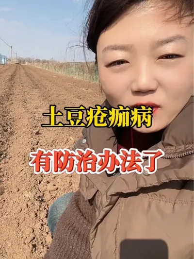 土豆疮痂病用这个防治办法#土豆种植 #土豆疮痂病 @抖音小助手 #春耕进行时