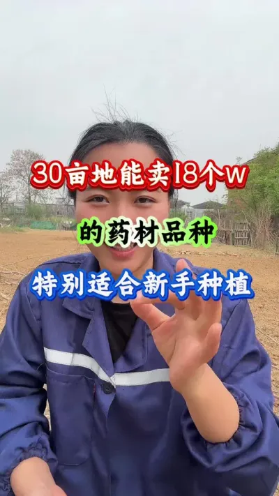 药材种植 30亩地能卖18个w的药材品种特别适合新手种植 #药材种植 #药材管理 #药材高产