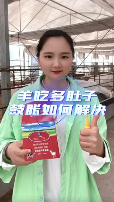 羊胀气怎么办#养羊技术 #养羊人 #养羊技术分享
