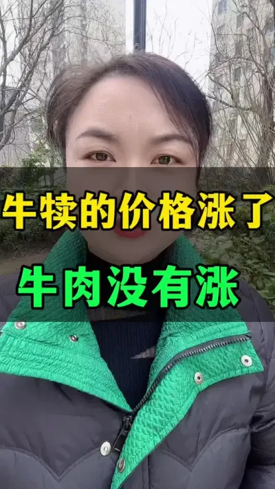 牛犊涨价了，肉牛没有涨#肉牛犊肉牛养殖场 #科学养殖 #养殖户 #自繁自养 #养殖人
