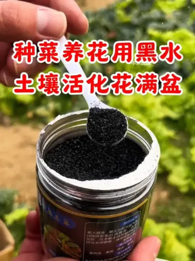 种菜养花用上这个黑水，土壤活化花开满盆#土壤改良 #土壤活化剂 #种植小技巧 #土壤板结 #农业种植