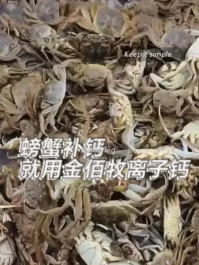 养了这么多年螃蟹 #水产养殖 #鱼虾蟹养殖  #水产人 #螃蟹🦀 #养殖基地 @DOU+小助手