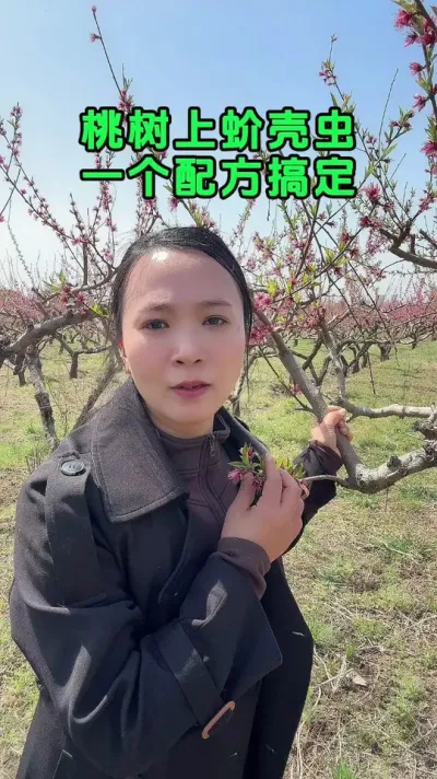 桃树食心虫关键防治时期 #食心虫 #桃树病虫害防治 #果园管理