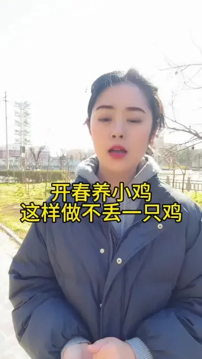开春上鸡苗，这样做全程不丢一只鸡#服务三农支持三农 #鸡鸭鹅养殖 #养鸡人 #抖音养鸡人 #鸡病防治